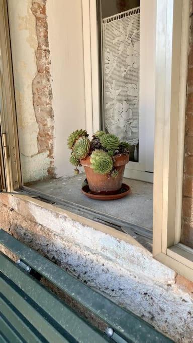Сasa de vacaciones Holidhome - Casale Bellavita San Giovanni Ilarione